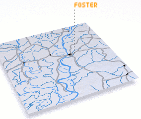 3d view of Foster