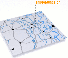 3d view of Trippe Junction