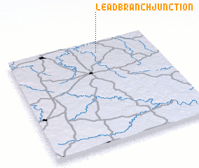3d view of Lead Branch Junction