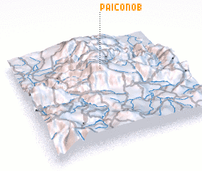 3d view of Paiconob