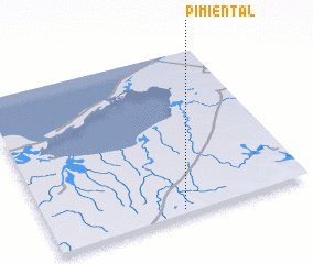 3d view of Pimiental