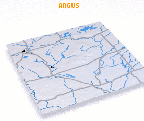 3d view of Angus