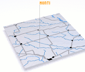 3d view of Monti