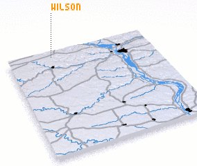 3d view of Wilson