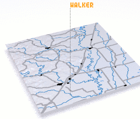 3d view of Walker