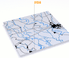 3d view of Vida