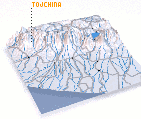 3d view of Tojchina