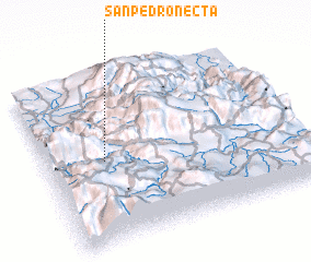 3d view of San Pedro Necta