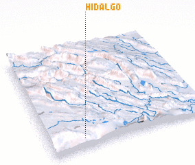 3d view of Hidalgo
