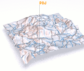 3d view of Poj