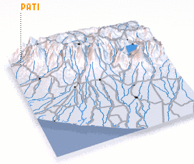 3d view of Patí