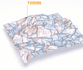 3d view of Tuinimá