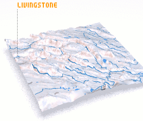 3d view of Livingstone