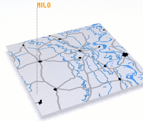 3d view of Milo