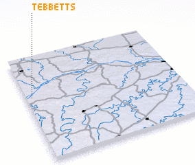 3d view of Tebbetts