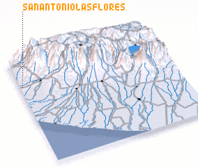 3d view of San Antonio Las Flores