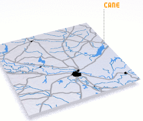 3d view of Cane