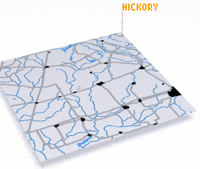 3d view of Hickory