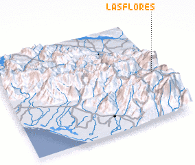 3d view of Las Flores