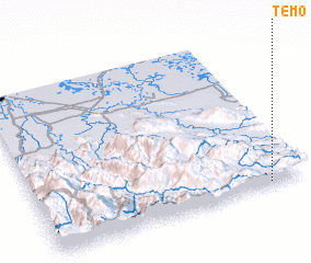 3d view of Temó