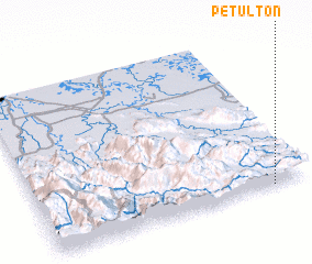 3d view of Petulton