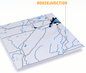 3d view of Moose Junction