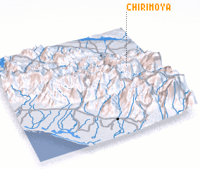 3d view of Chirimoya