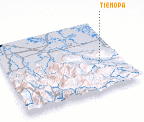 3d view of Tiemopa