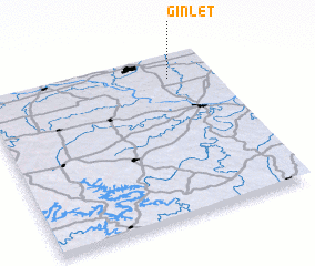 3d view of Ginlet