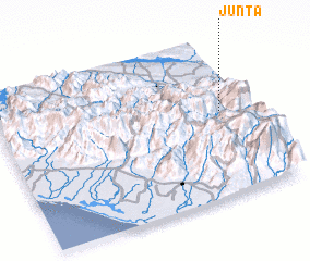 3d view of Junta