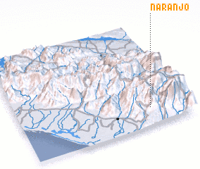 3d view of Naranjo