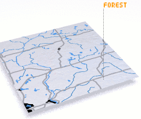 3d view of Forest