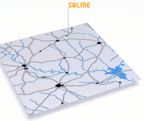 3d view of Saline