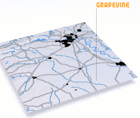 3d view of Grapevine
