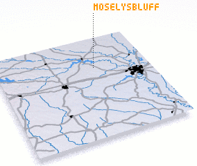 3d view of Moselys Bluff