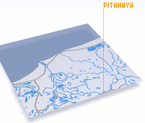 3d view of Pitahaya