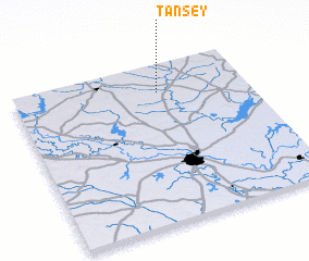 3d view of Tansey