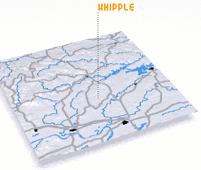 3d view of Whipple