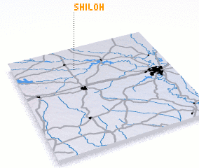 3d view of Shiloh