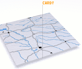 3d view of Cardy