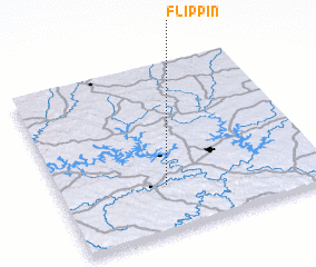 3d view of Flippin