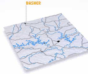 3d view of Basher