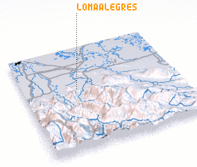 3d view of Loma Alegres