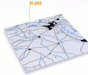 3d view of Bland