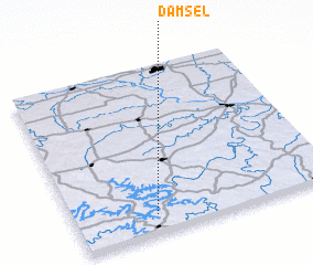 3d view of Damsel