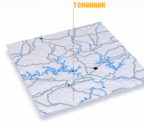 3d view of Tomahawk