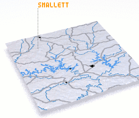 3d view of Smallett