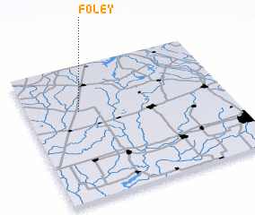 3d view of Foley