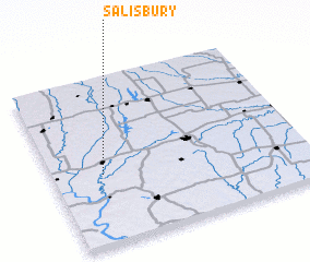 3d view of Salisbury