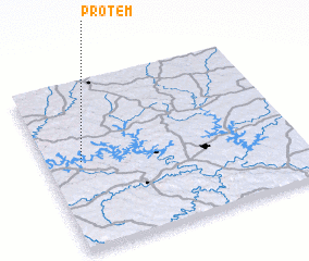3d view of Protem